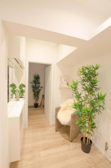 Casarina - Gemuetliches Apartment Im Zentrum Augsburg Exterior photo